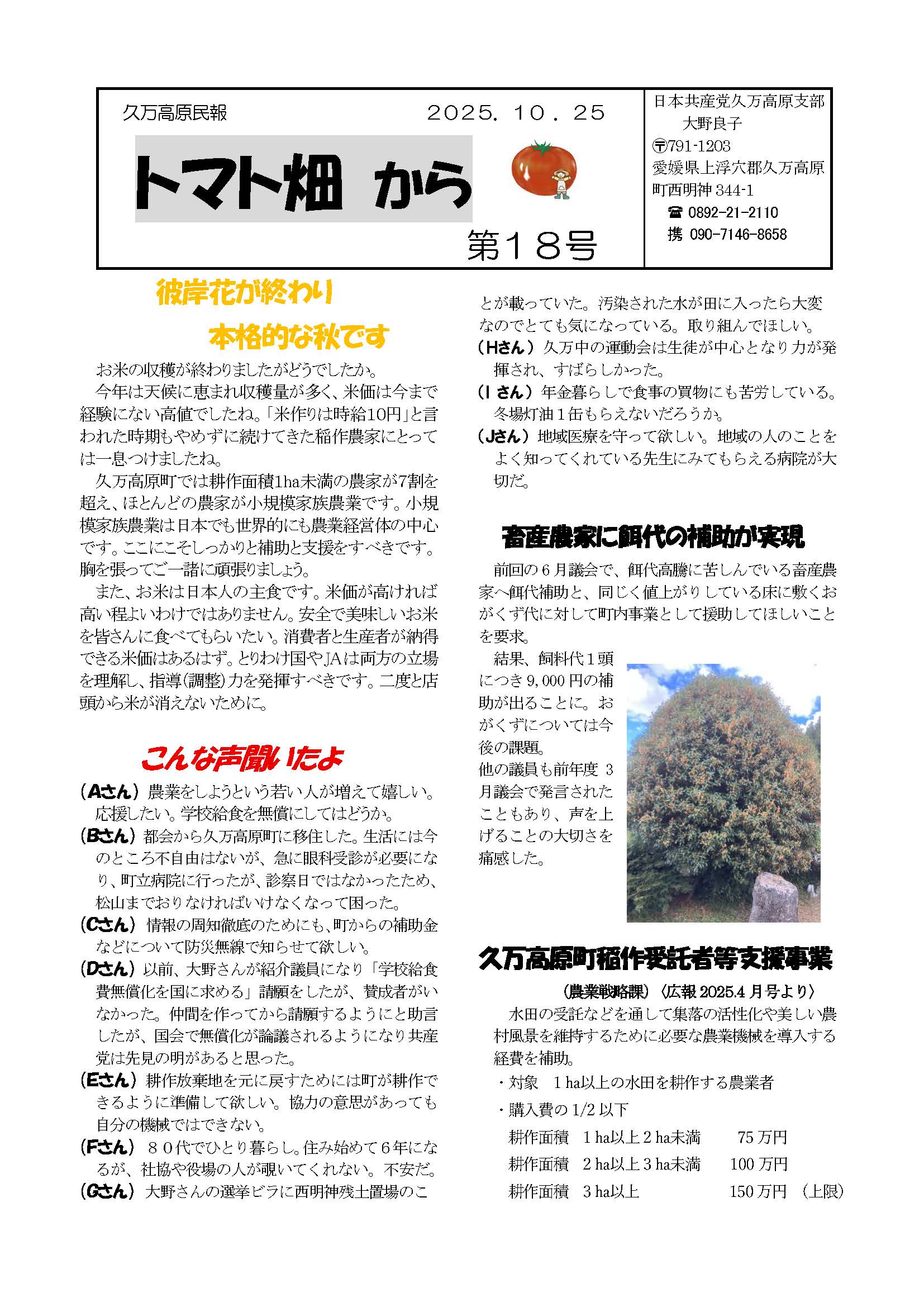 久万高原民報トマト畑から18号